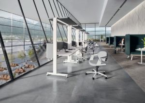 irodabelső_fenyekcikk